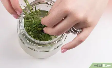 Image titled Make Dill Pickles Step 26