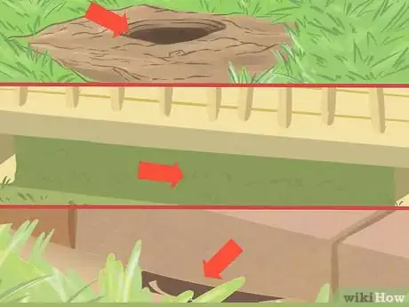 Image titled Catch a Chipmunk Step 11