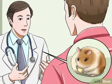 Image titled Make Hamster Health Food Step 9