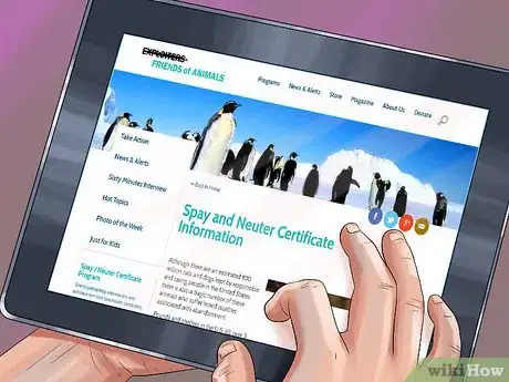 Image titled Find Low‐Cost Spay or Neuter Programs for Cats Step 3