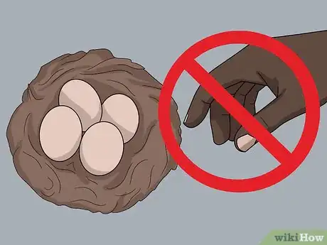 Image titled Monitor Nestboxes Step 6