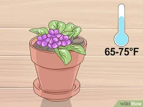 Image titled Grow African Violets Step 13