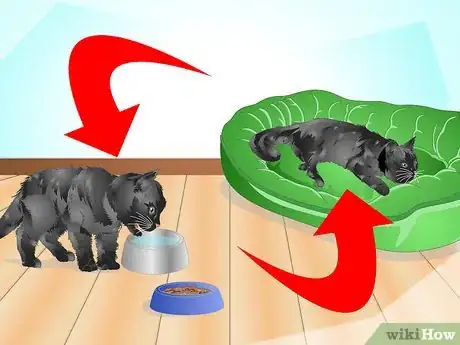 Image titled Introduce a Cat to a New Home Step 17