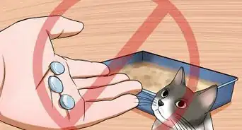 Resolve Cat Litter Tray Issues