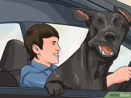 Image titled Keep Your Dog from Being Bored Step 3