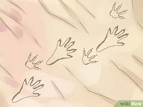 Image titled Identify Animal Tracks Step 8