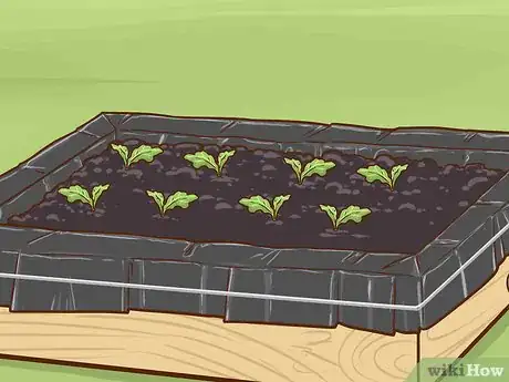 Image titled Make a Simple Home Hydroponic Garden Step 20