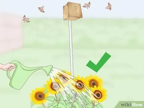 Image titled House Finches Step 16