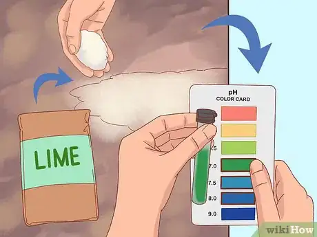 Image titled Grow Cucumbers Step 3