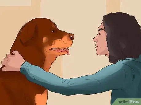 Image titled Treat Canine Periodontal Disease Step 1