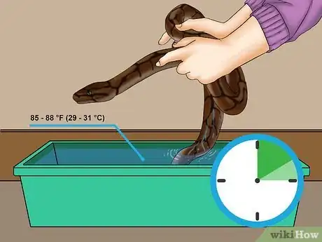 Image titled Help a Shedding Pet Reptile Step 9