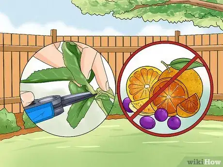 Image titled Get Rid of Skunks Step 1