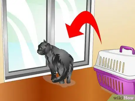 Image titled Introduce a Cat to a New Home Step 13