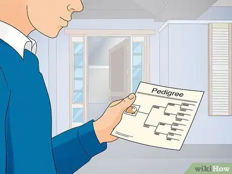 Image titled Choose a Guinea Pig for Breeding Step 8