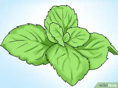 Image titled Grow Mint in a Pot Step 5