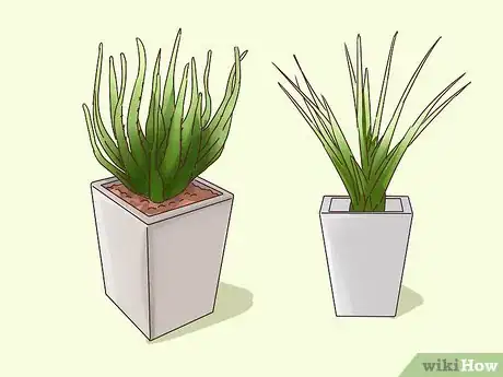 Image titled Choose Plants for Good Feng Shui Step 4