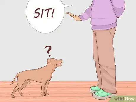 Image titled Know if Your Old Dog Stops Recognizing People Step 4