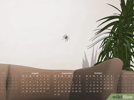 Image titled Keep Hobo Spiders Out of the House Step 10