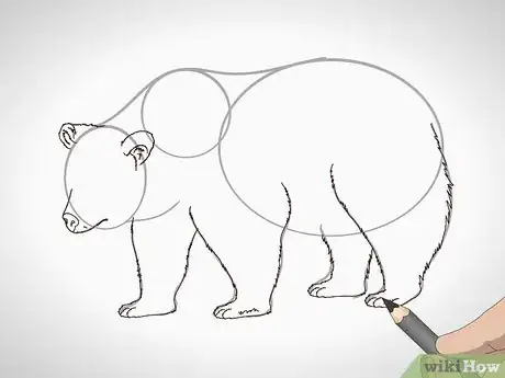 Image titled Draw a Grizzly Bear Step 9