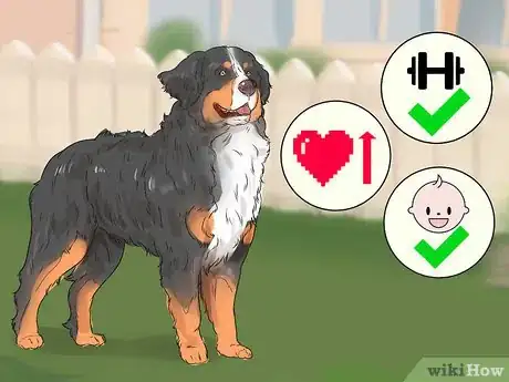 Image titled Choose an Active Dog Step 15