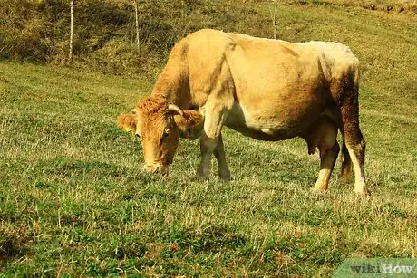 Image titled Become a Farmer at Fifty Step 5