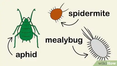 Image titled Care for a Midnight Blue Rose Bush Step 22