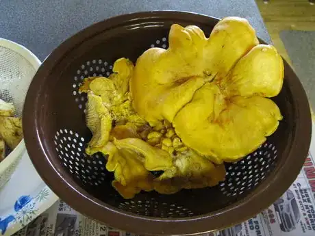 Image titled How to Dry Saute Mushrooms step1.JPG