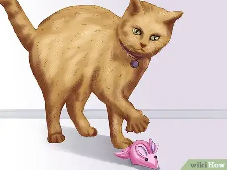 Image titled Choose a Kitten Name Step 4