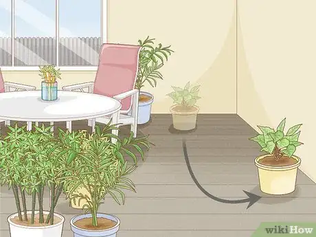 Image titled Control Scale Insects on Indoor Plants Step 7