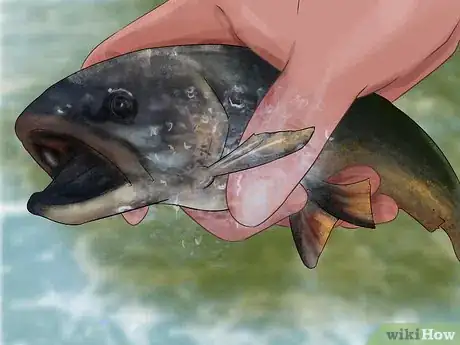 Image titled Hold a Fish Step 4