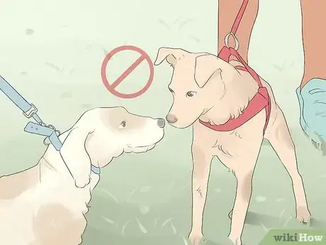 Image titled Care for Animals During the Coronavirus Outbreak Step 3