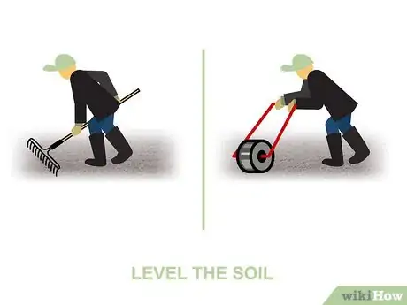 Image titled Grow Centipede Grass Step 04