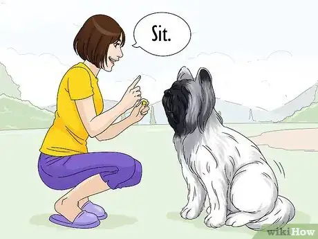 Image titled Identify a Briard Step 12