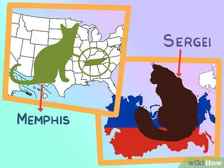 Image titled Choose a Kitten Name Step 3