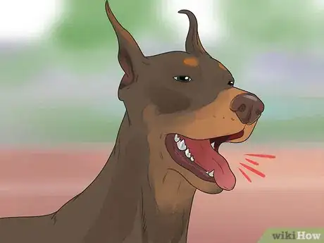 Image titled Treat Heart Conditions in Doberman Pinschers Step 11