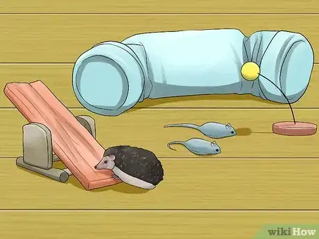 Image titled Help Your Hedgehog Get Used to Handling Step 12