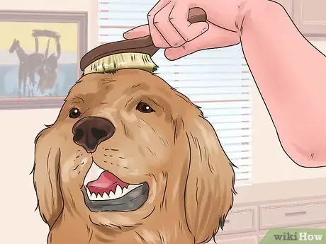 Image titled Groom a Longhair Dog Step 3