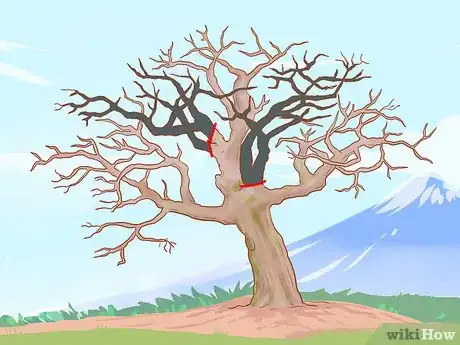 Image titled Prune Old Apple Trees Step 8