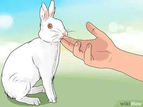 Image titled Choose a Pet Rabbit Step 3