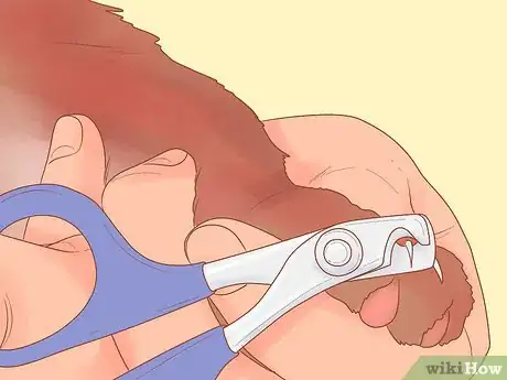 Image titled Become a Cat Person Step 10