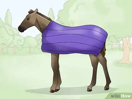 Image titled Take off a Horse Blanket Step 5