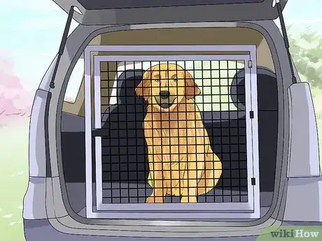 Image titled Help Dogs in Need Step 5