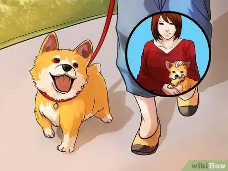 Image titled Adopt a Purebred Dog Step 15