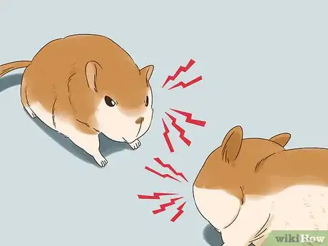 Image titled Understand Gerbil Vocalizations Step 2
