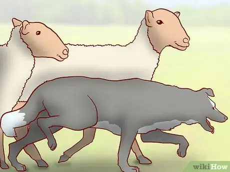 Image titled Evaluate Your Reasons for Wanting a Dog Step 2