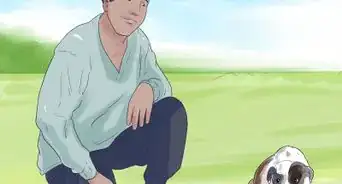 Connect With an Animal