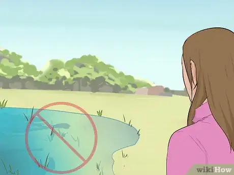 Image titled Plant Cedar Trees Step 4