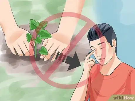 Image titled Live With Allergies to Pollen Step 7