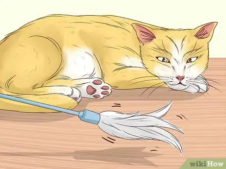 Image titled Prevent a Diabetic Emergency in Cats Step 9