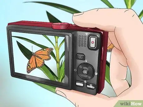 Image titled Watch Insects Step 17